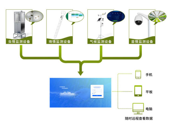 農(nóng)業(yè)四情監(jiān)測系統(tǒng)解決方案